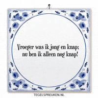 Humor Nl GIF by Tegelspreuken.nl