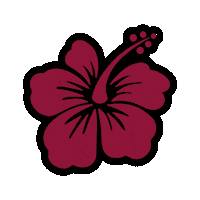 Wwr Womensrugby Sticker by Warriors Women's Rugby