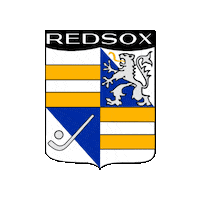 Rs Zurich Sticker by Swiss Hockey