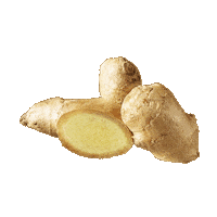 Ginger Sticker by orlenunipetrol
