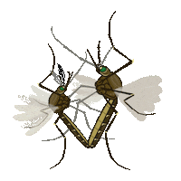 Protect Public Health Sticker by SGVmosquito