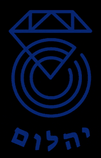 yahalom diamond music label music record יהלום GIF