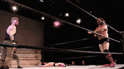 SHWAWrestling wrestling big champions alliance GIF