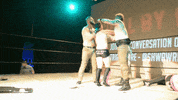 SHWAWrestling wrestling big champions alliance GIF