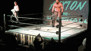 SHWAWrestling wrestling big champions alliance GIF