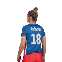 Eurovolley Vinci Sticker by Volejbal Brno