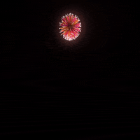 GIF by Shurly