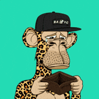 Begging No Money GIF by Boring Merch