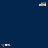Womens Basketball GIF by WVU Tech Golden Bears