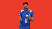 Ffhandball GIF by Fédération Française de Handball