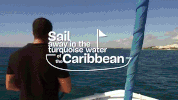 GIF by Dolphin Discovery