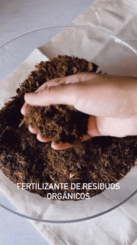 GIF by MIOBIO CHILE