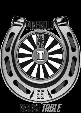 Gestore_Materiali_Nazionale giphygifmaker rt55 round table pinerolo roundtablepinerolo GIF