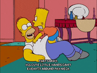 homer simpson episode 6 GIF