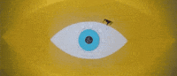 holymountain eye pupil alejandro jodorowsky the holy mountain GIF