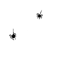 Spider Web Halloween Sticker by CLBS Ltd.