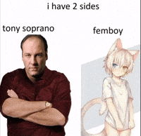 The Sopranos Cat GIF
