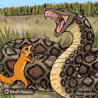Motivation Inspiring GIF by VeeFriends