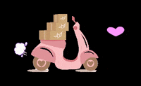 caryocaboutique delivery moto entrega envio GIF