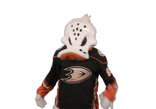 Excited Ice Hockey Sticker by NHL