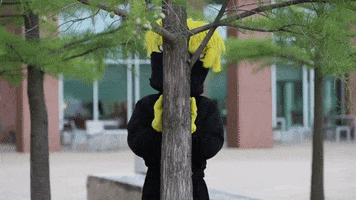 Wu_Shock wu wsu wearamask maskup GIF