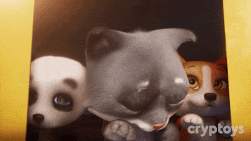 Cryptoys wow shocked shock kitty GIF