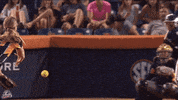 national pro fastpitch softball GIF by USSSA Pride