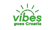 Vgc Sticker by Vibes Fitness