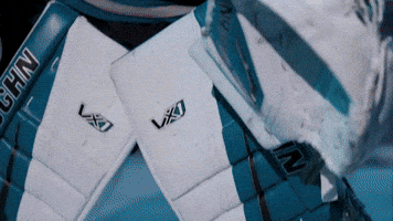 San Jose Win GIF by San Jose Barracuda