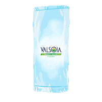 Valsoia happy summer vegan 2020 Sticker