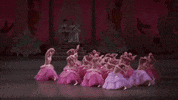 land of sweets dance GIF by New York City Ballet