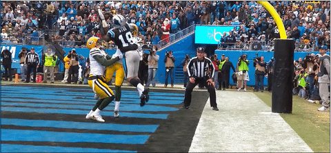 packers panthers GIF