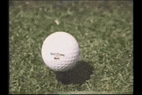 Disney World Golf GIF
