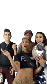 Oikosernie Chow Oikoskvvvfa Sticker by Oikos Canada