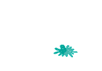 Water Bottle Sticker by Purified