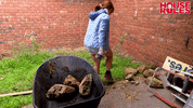 Scared House Rules GIF by Channel 7