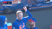 Celebrate New York Mets GIF by SNY