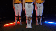 Pearl River Softball GIF by Pearl River Athletics