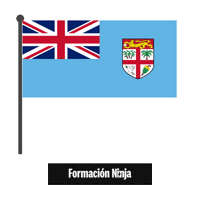 Fiji Flag Sticker by Formación Ninja