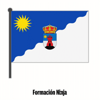 Roquetas De Mar Flag GIF by Formación Ninja
