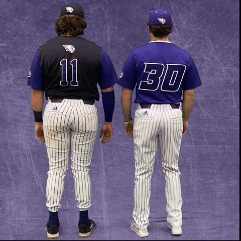 Kdub GIF by KWC Panthers