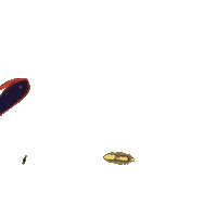 monweckerl eating gold fish swimming Sticker