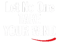Wind Sailing Sticker by Professionalboats
