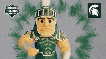 College Sports Michigan GIF by College Colors Day
