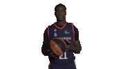 Liga Endesa Basketball Sticker by ACB