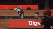 clash royale win GIF by dignitas