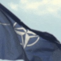 NATO nato otan wearenato GIF