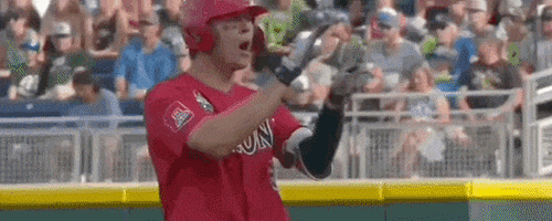College World Series Baseball GIF by NCAA Championships