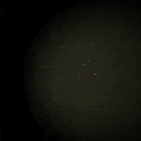 Cartoon What GIF