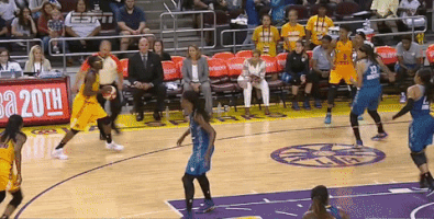 game 3 basketball GIF by WNBA